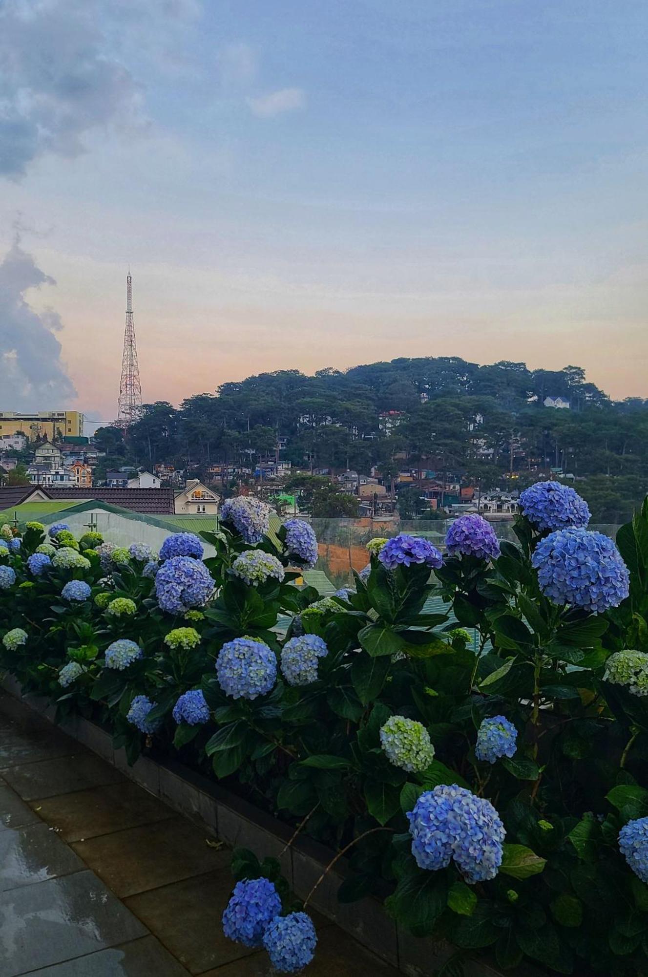 The Luxe Da Lat Hotel Bagian luar foto